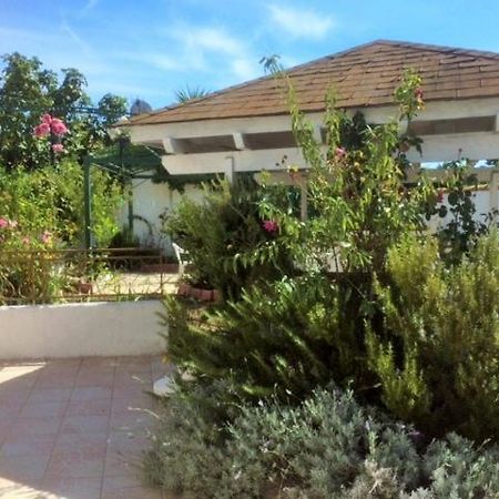 Appartement 3 Chambres Proche Mer Entre Palavas Les Flots Et Frontignan Plage Dans Maison Avec Jardin فيلنوف ليه ماجولون المظهر الخارجي الصورة