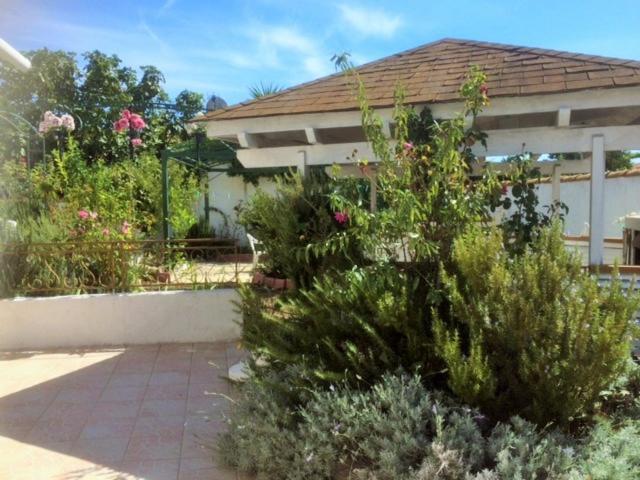 Appartement 3 Chambres Proche Mer Entre Palavas Les Flots Et Frontignan Plage Dans Maison Avec Jardin فيلنوف ليه ماجولون المظهر الخارجي الصورة